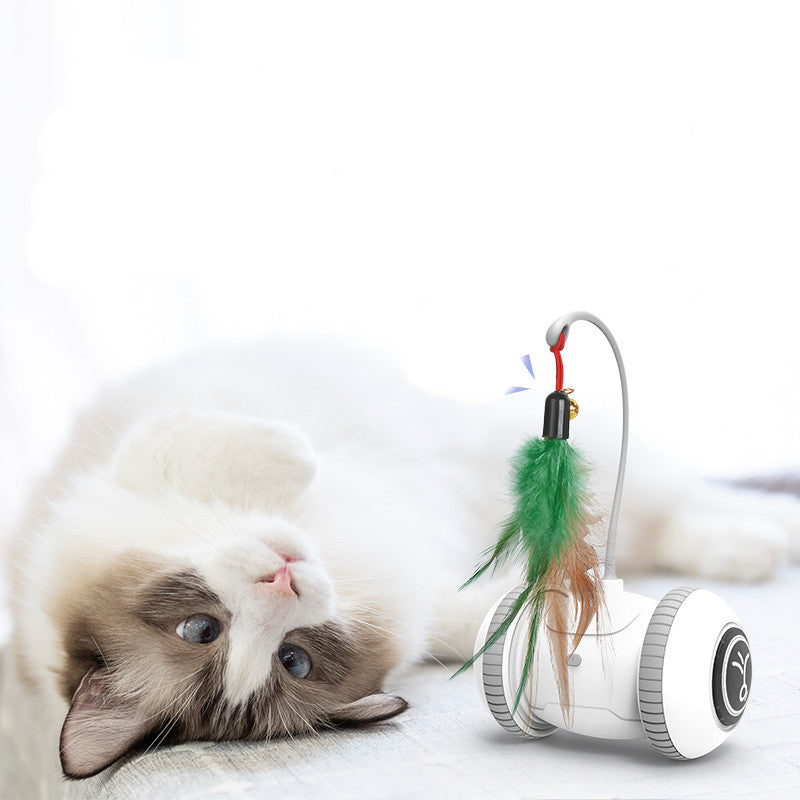 Automatic Cat Toy Robot - Interactive Feather Wand with Interchangeable Attachments