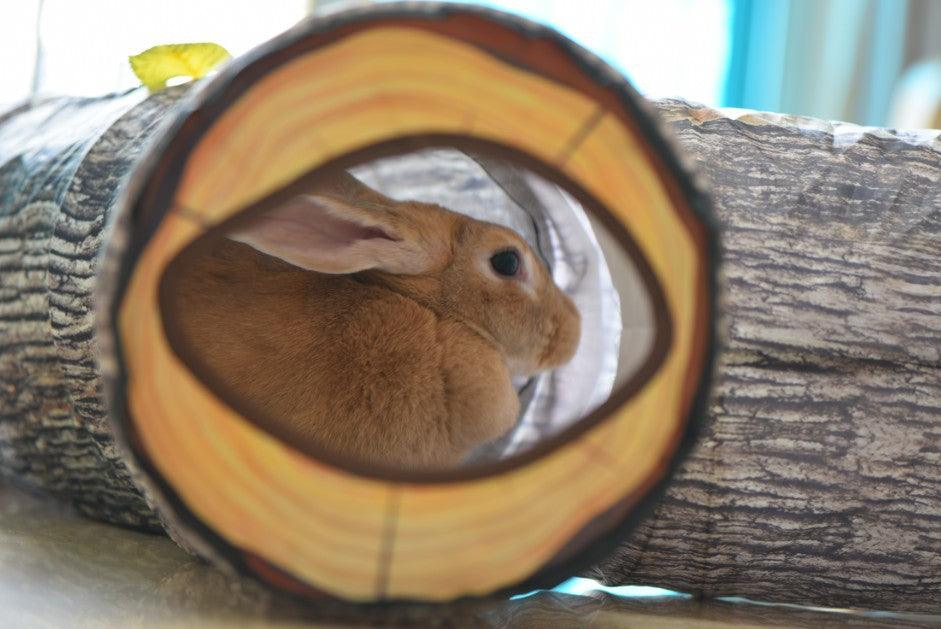 Cat Tunnel Hideaway - 3-Way Interactive Play Tube with Tree Pattern