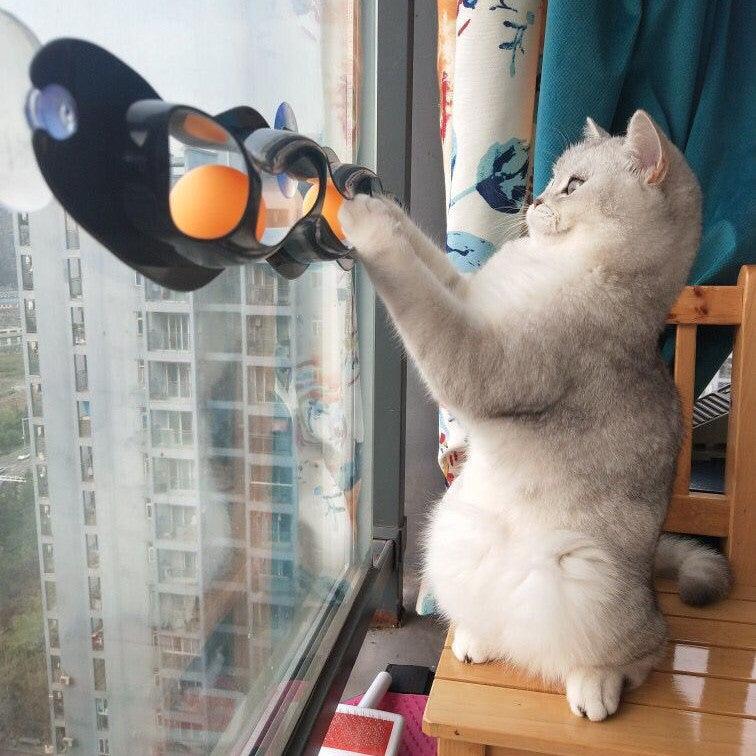 Cat Window Perch Track Toy - Interactive Ball Chase Game for Windowsill