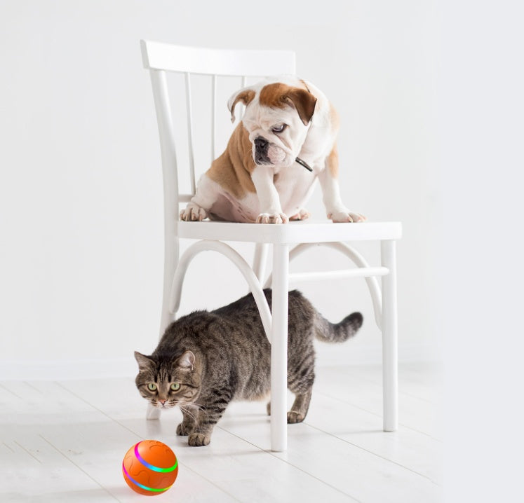 Smart Interactive Cat Ball - USB Rechargeable Self-Rolling Toy