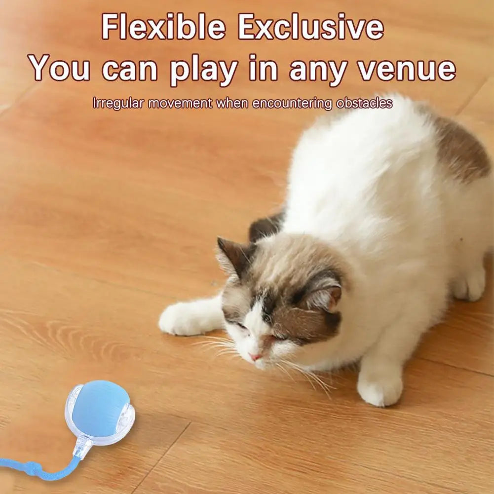 Electric Cat Ball - USB Rechargeable Self-Rolling Toy with Feather Tail