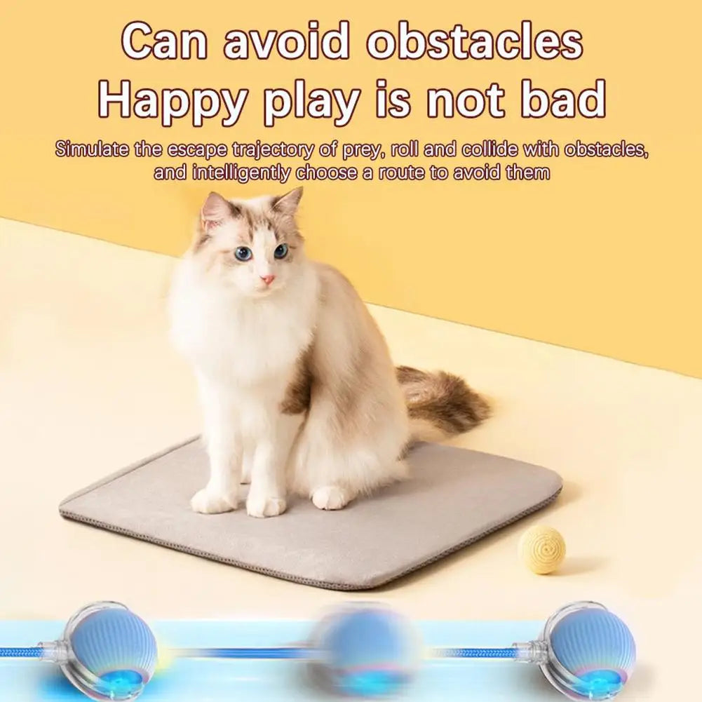 Electric Cat Ball - USB Rechargeable Self-Rolling Toy with Feather Tail