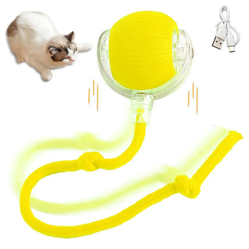 Electric Cat Ball - USB Rechargeable Self-Rolling Toy with Feather Tail