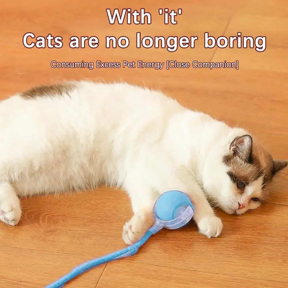Electric Cat Ball - USB Rechargeable Self-Rolling Toy with Feather Tail