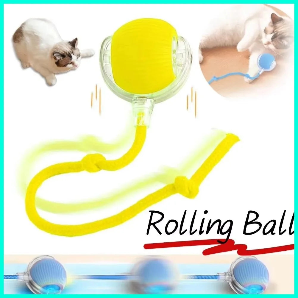 Electric Cat Ball - USB Rechargeable Self-Rolling Toy with Feather Tail