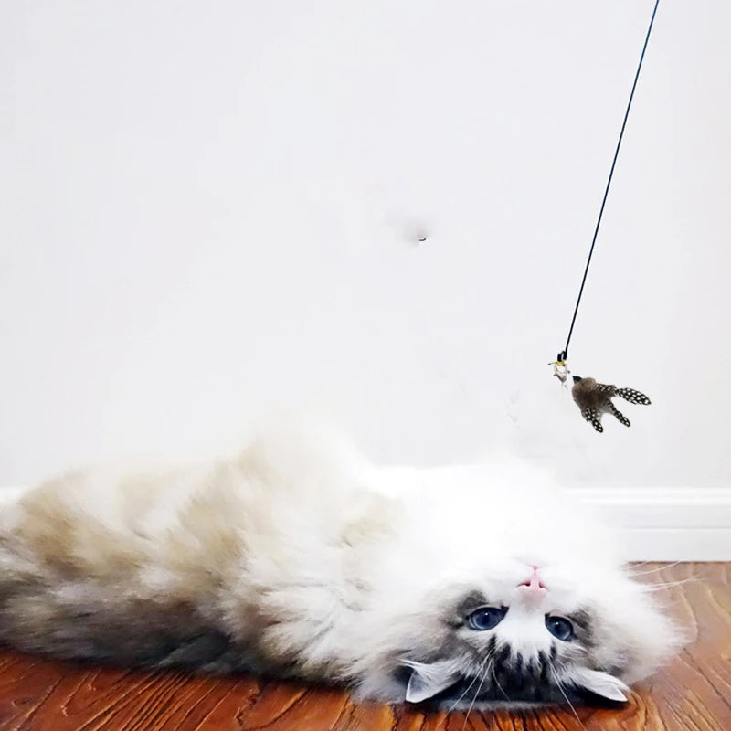 Cat Feather Teaser Wand - Interactive Bell & Suction Cup Play Stick