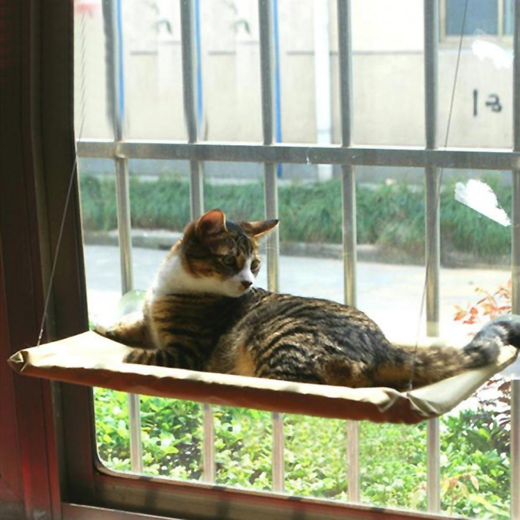 Cat Window Perch Bed - Suction Cup Mounted Hammock for Sunny Naps