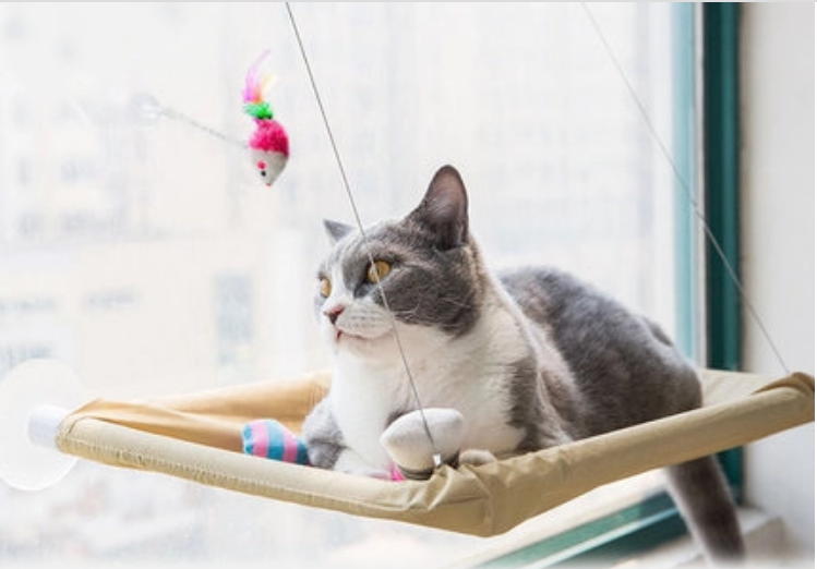 Cat Window Perch Bed - Suction Cup Mounted Hammock for Sunny Naps