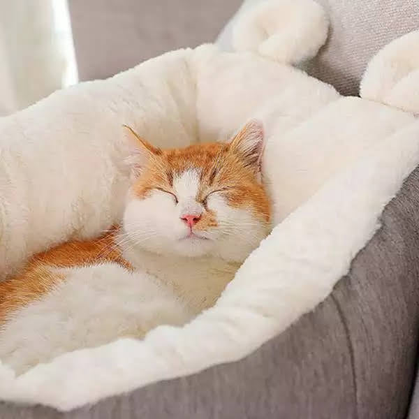 Cat Sleeping Bag Bed - Cozy Enclosed Cave for Cats (Grey, Medium)