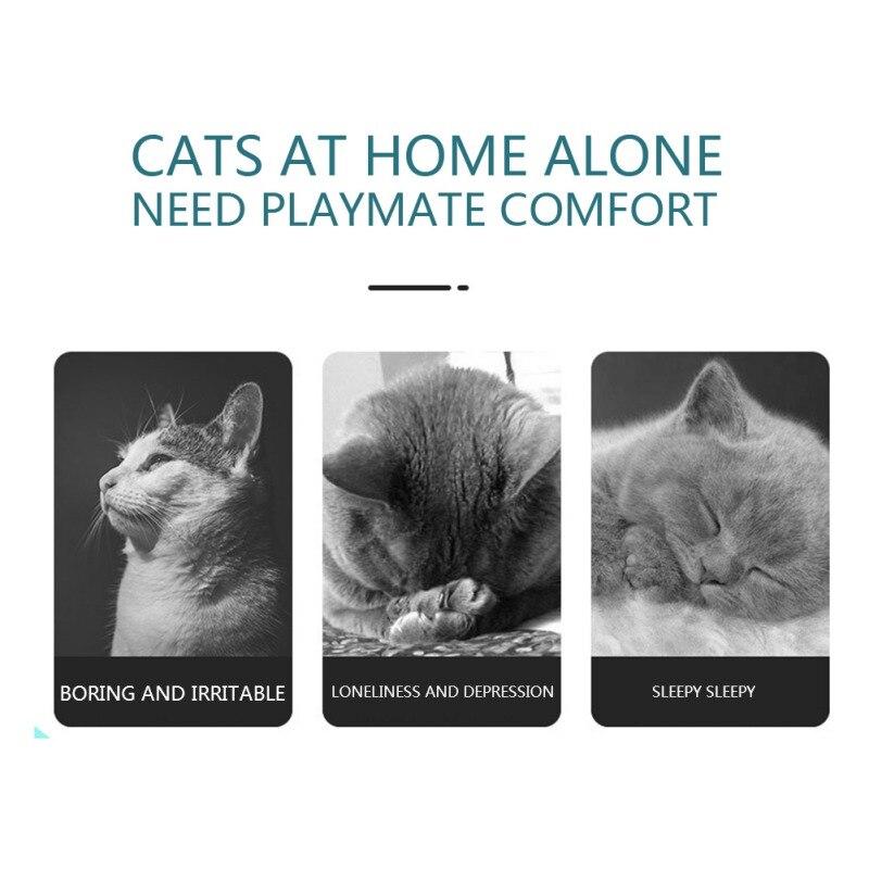 Interactive Cat Hunt Toy - USB Rechargeable Mouse Chase Maze Game